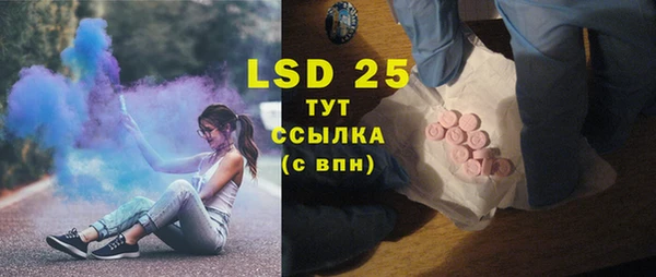 прущие грибы Баксан