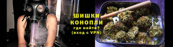 прущие грибы Баксан