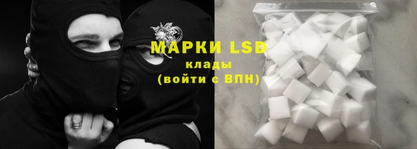 ГАЛЛЮЦИНОГЕННЫЕ ГРИБЫ Пестово