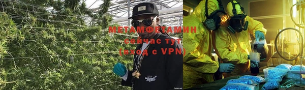прущие грибы Баксан