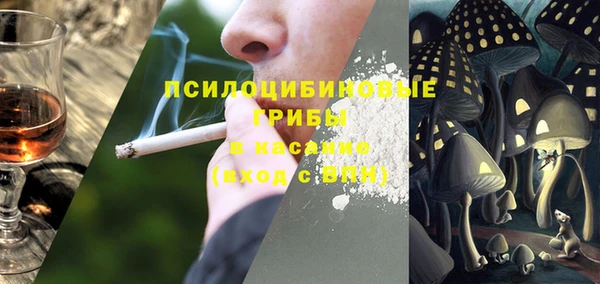 прущие грибы Баксан