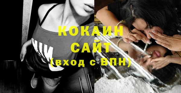 прущие грибы Баксан