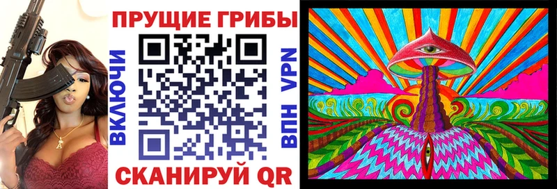 mega вход  Подпорожье  Псилоцибиновые грибы Magic Shrooms 